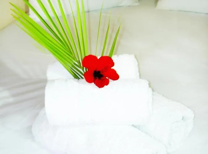 Mat Old Town A * Rethymno (Crete)